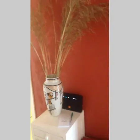 アパート T2 Sanguinaires Calme Et Cosy, Entre Et Maquis