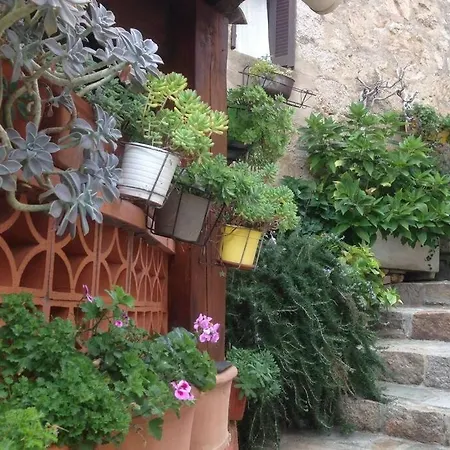 T2 Sanguinaires Calme Et Cosy, Entre Et Maquis * アジャクシオ