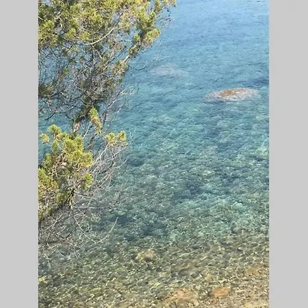 T2 Sanguinaires Calme Et Cosy, Entre Et Maquis アパート