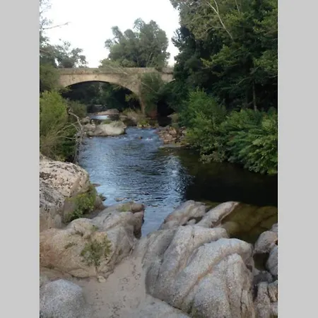 T2 Sanguinaires Calme Et Cosy, Entre Et Maquis * アジャクシオ