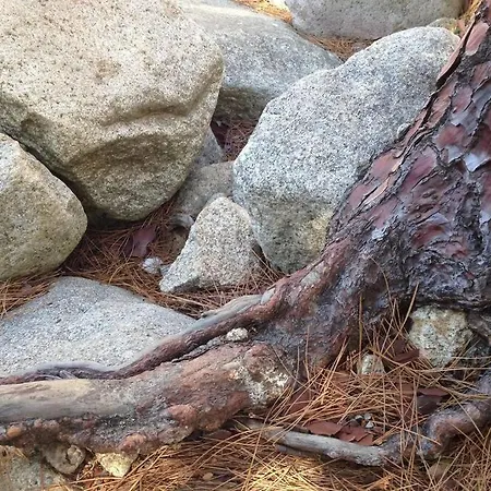 アパート T2 Sanguinaires Calme Et Cosy, Entre Et Maquis