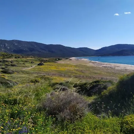 Lägenhet T2 Sanguinaires Calme Et Cosy, Entre Et Maquis *