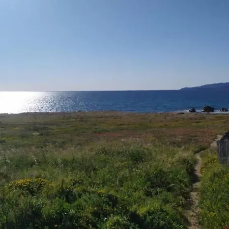 T2 Sanguinaires Calme Et Cosy, Entre Et Maquis Lägenhet