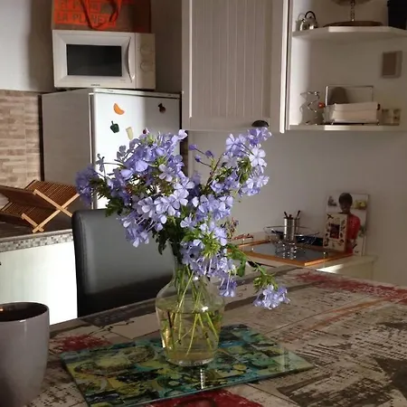 Apartment T2 Sanguinaires Calme Et Cosy, Entre Et Maquis Ajaccio (Corsica)