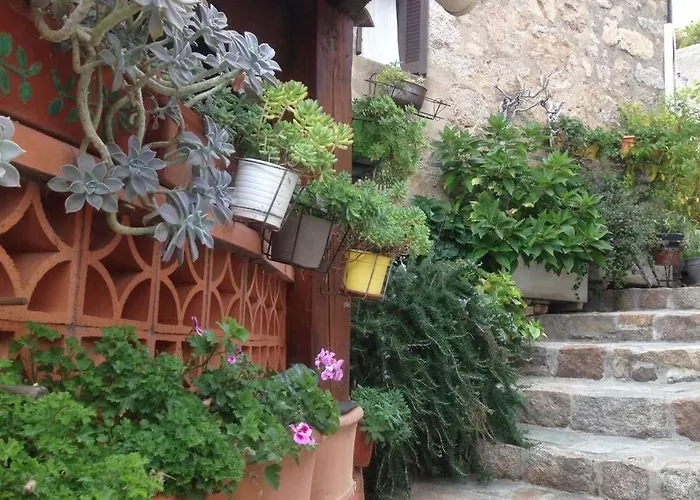 T2 Sanguinaires Calme Et Cosy, Entre Et Maquis * Ajaccio (Corsica)