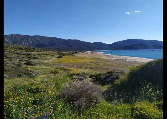 Apartmán T2 Sanguinaires Calme Et Cosy, Entre Et Maquis *