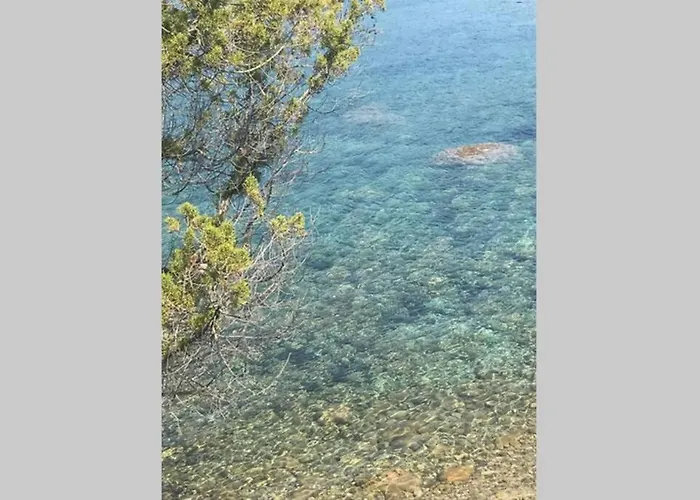 T2 Sanguinaires Calme Et Cosy, Entre Et Maquis Apartmán